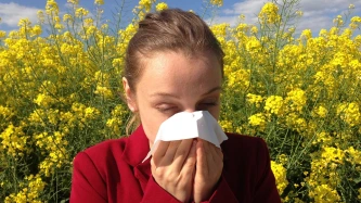 Allergies saisonnières