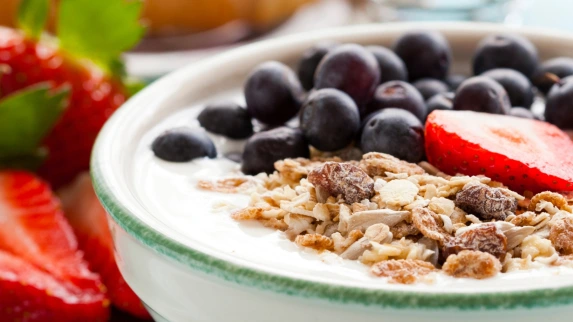 Quand et Comment prendre du collagène ?