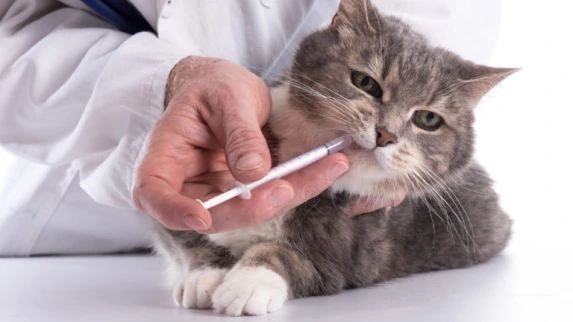 Vermifuge pour Chat