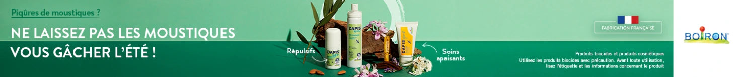 Dapis