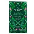 Pukka Tisane Inspiration à l'Eucalyptus Bio