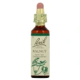 Fleurs de Bach Walnut n°33