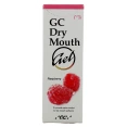 GC Dry Mouth Gel