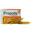 3 Chênes Propolis en Ampoules