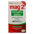 Mag 2 Cannabis Sativa