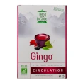 Thés de la Pagode Thé Vert Grand Cru Gingo Circulation