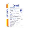 Coryzalia