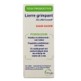 Sirop Lierre Grimpant