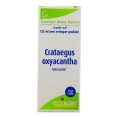 Boiron Teinture mère Crataegus Oxyacantha