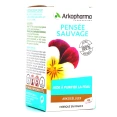 Arkogélules Pensée Sauvage