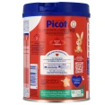 Picot AR 2 Lait 2eme âge