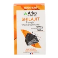 Arkogélules Shilajit