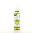 Phytosun Aroms Gel à l'Aloe Vera Bio