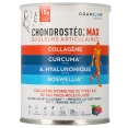 Chondrosteo+ Max Douleurs Articulaires