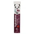Panda Tea Pastilles Hydratation