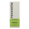 Pranarom huile essentielle Angélique