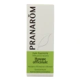 Pranarom Huile Essentielle Hysope Officinale