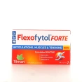 Flexofytol Forte