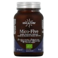 Hifas da Terra Mico-Five