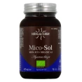 Hifas da Terra Mico-Sol
