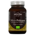 Hifas da Terra Mico-Polypor