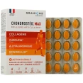 Chondrosteo+ Max Douleurs Articulaires