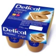 Delical Crème Dessert HP HC La Floridine