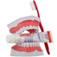 Elmex Dentifrice sans menthol