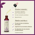 Fleurs de Bach Heather n°14