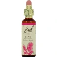 Fleurs de Bach Pine n°24