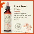 Fleurs de Bach Rock Rose n°26
