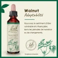 Fleurs de Bach Walnut n°33