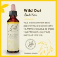 Fleurs de Bach Wild Oat n°36