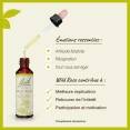 Fleurs de Bach Wild Rose n°37