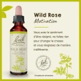 Fleurs de Bach Wild Rose n°37