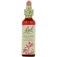 Fleurs de Bach Willow n°38