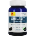 Granions Shilajit