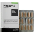 Hepacyte Digestion
