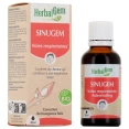 Herbalgem Sinugem Voies Respiratoires Bio