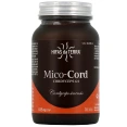 Hifas da Terra Mico-Cord