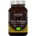 Hifas da Terra Mico-Polypor