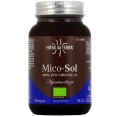 Hifas da Terra Mico-Sol