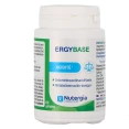 Nutergia Ergybase