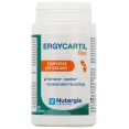 Nutergia Ergycartil Flex