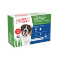 Perfikan Spot-On Antiparasitaire Chien