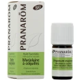 Pranarom huile essentielle Marjolaine à coquille