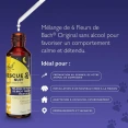 RESCUE® Pets Nuit Compte-gouttes