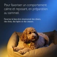 RESCUE® Pets Nuit Compte-gouttes