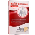 Saint Bernard Patchs
