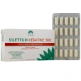 Silettum Kératine 500